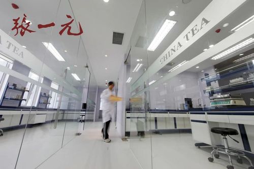 2024中國茶企品牌價值Top10風采展示 百年張一元榮登榜，現代琳龍物流展新篇